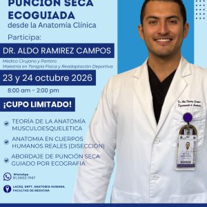 Punción Seca Ecoguiada desde la Anatomía Clínica