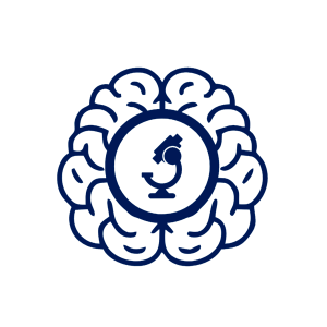 Curso de Neuromicrocirugía