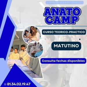 Anatocamp 11 al 15 de enero 2027 TURNO MATUTINO
