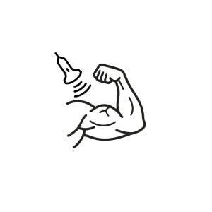 Conceptos Anatómicos Ecografía Musculoesquelética