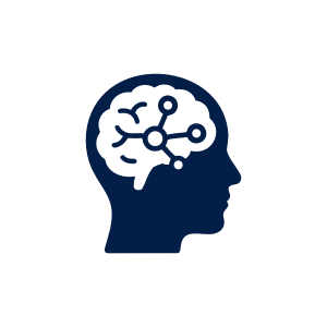Curso de Neuroanatomía Clínica – 21 oct al 25 nov 2026