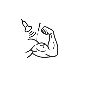 Punción Seca Ecoguiada desde la Anatomía Clínica