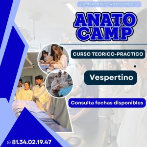 Anatocamp 11 al 15 de enero 2027 TURNO VESPERTINO