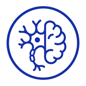 Curso Autogestivo Neuroanatomía y Neurociencias
