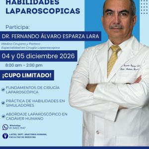 Curso de Habilidades en Cirugía Laparoscópica