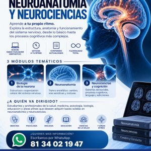 Curso Autogestivo Neuroanatomía y Neurociencias